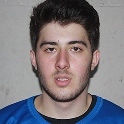 13DavitJvaniaP